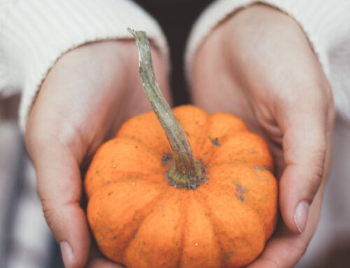 Mindfulness Practices to Help You Thrive as You Grow Older